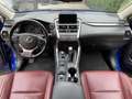 Lexus NX 300h E-FOUR Executive-Line Albastru - thumbnail 4