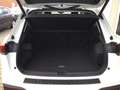 Volkswagen Tiguan 1,5 eTSI DSG Life AHK GJR NAVI Bluetooth Blanc - thumbnail 5