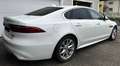 Jaguar XF XF D200 AWD R-Dynamic HSE Aut. R-Dynamic HSE Weiß - thumbnail 3