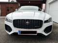 Jaguar XF XF D200 AWD R-Dynamic HSE Aut. R-Dynamic HSE Weiß - thumbnail 1