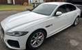 Jaguar XF XF D200 AWD R-Dynamic HSE Aut. R-Dynamic HSE Weiß - thumbnail 2