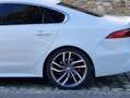 Jaguar XF XF D200 AWD R-Dynamic HSE Aut. R-Dynamic HSE Weiß - thumbnail 6