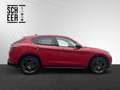 Alfa Romeo Stelvio Intensa 2.2 Jtdm 210PS Q4 Rot - thumbnail 27