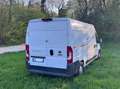 Fiat Ducato - thumbnail 4
