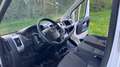 Fiat Ducato - thumbnail 5