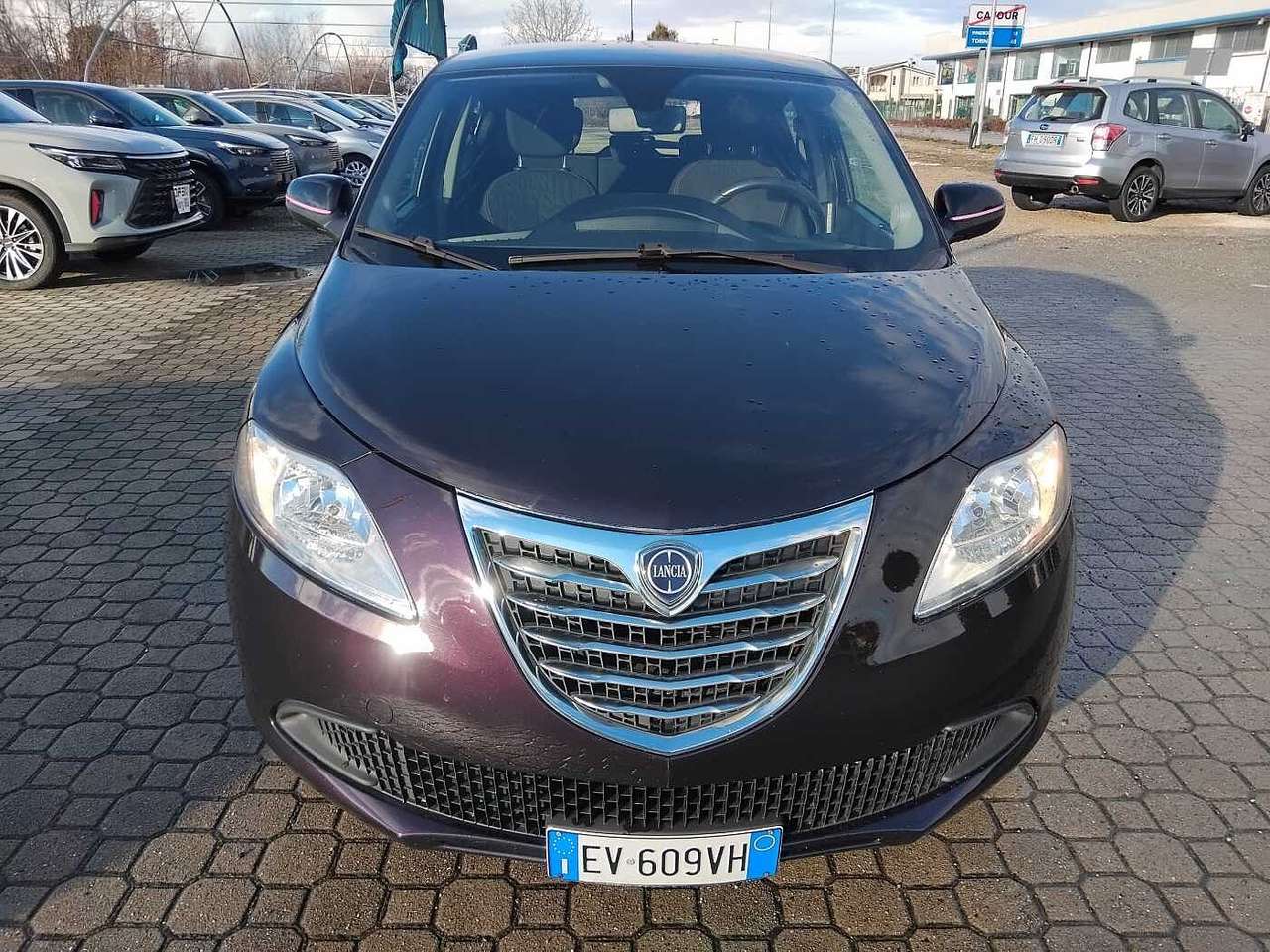 Lancia Ypsilon 3ª serie 1.2 69 CV 5 porte Elefantino
