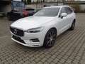 Volvo XC60 T8 Inscription Plug-In Hybrid**UPE 93.460.- Weiß - thumbnail 1