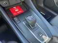 Nissan Qashqai 3ª serie MHEV 158 CV Xtronic Tekna Grigio - thumbnail 11