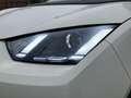BYD Dolphin Surf Boost Weiß - thumbnail 4