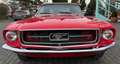 Ford Mustang Rot - thumbnail 6
