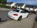 BMW Z4 sDrive30i Aut. Neuer Kofferraum und Karten - thumbnail 2
