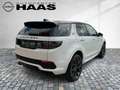 Land Rover Discovery Sport ALLRAD+AHK+360°Kam+LED+SHZ Weiß - thumbnail 6