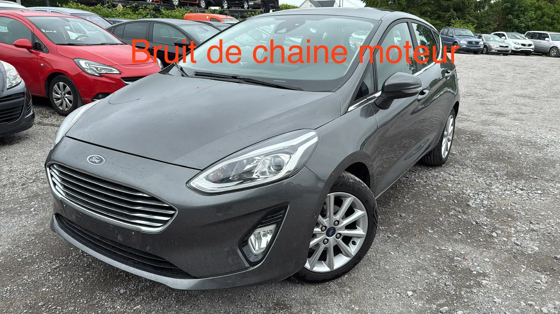 Ford Fiesta 1.0 EcoBoost Trend (EU6.2) BRUIT CHAINE!!! - 1