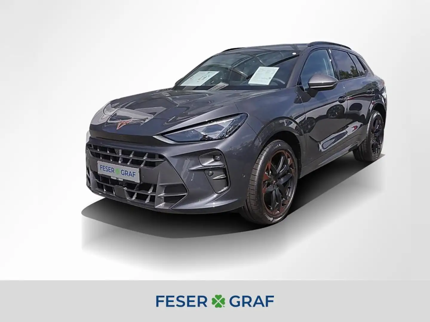 CUPRA Terramar VZ 2.0 TSI DSG LED*NAVI*DCC*ACC*HUD*AHK Grau - 1