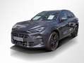 CUPRA Terramar VZ 2.0 TSI DSG LED*NAVI*DCC*ACC*HUD*AHK Grau - thumbnail 14