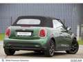 MINI Cooper Cabrio Cooper Cabrio MINI Cooper Cabriolet Vert - thumbnail 17