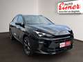 CUPRA Terramar 1.5 e-TSI 150 PS DSG AHK schwenkbar Schwarz - thumbnail 19