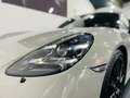 Porsche Cayman 718 Cayman GTS 4.0 PDK*BOSE*GTS-PAKET*NAVI*PDLS* Grey - thumbnail 3