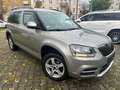 Skoda Yeti Active / DSG / SCHECKHEFT / 1.HAND Beige - thumbnail 1