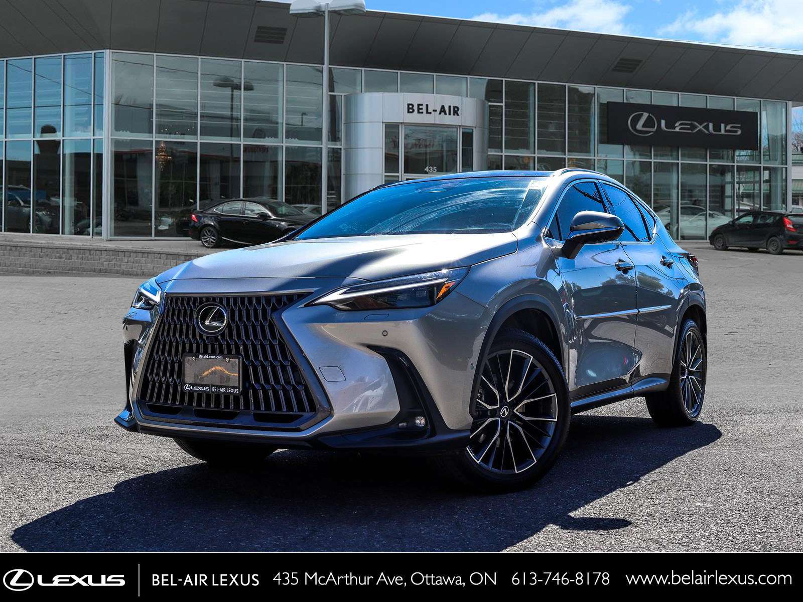 2026 Lexus NX Executive / Panoramic Roof / Head Up Display