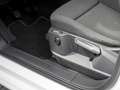 Volkswagen Caddy Maxi 2.0 TDI Rollstuhl Kam Navi SHZ Weiß - thumbnail 14