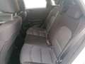 Kia Ceed / cee'd SPIRIT 1.5 T-GDI 140 NAVI,DAB,KLIMA,SITZHZG,LENKRA Bianco - thumbnail 11