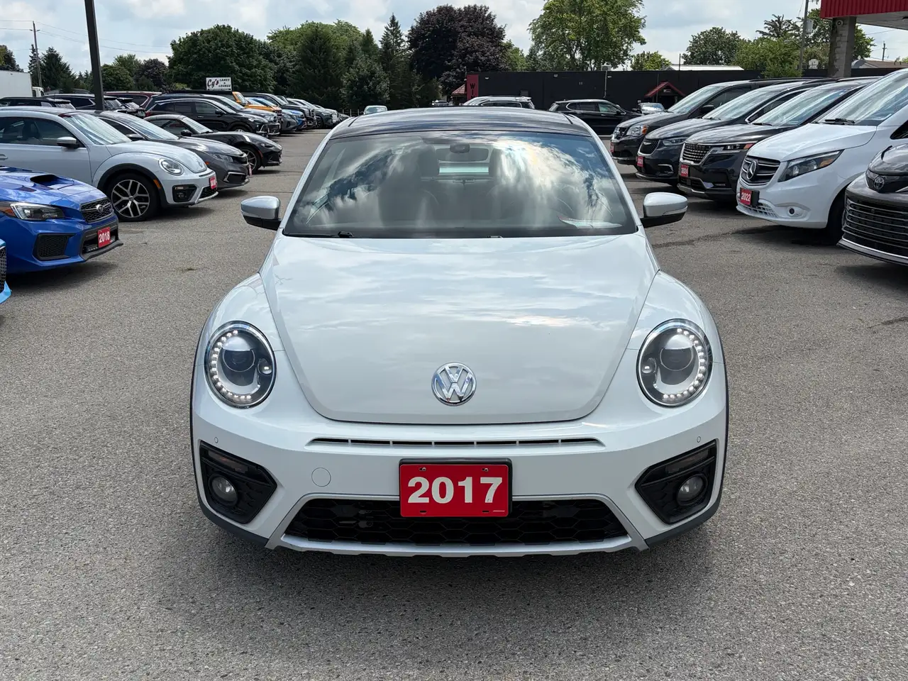 Volkswagen Beetle fotografie Volkswagen Beetle