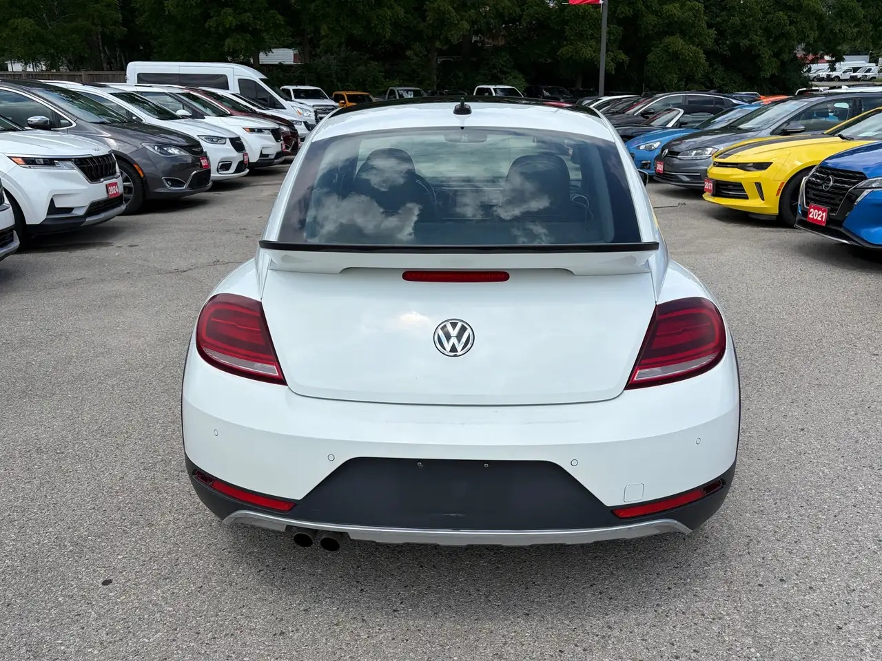 Volkswagen Beetle fotografie Volkswagen Beetle