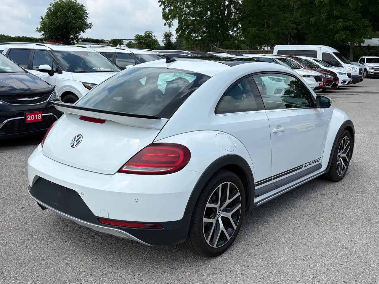 Volkswagen Beetle fotografie Volkswagen Beetle