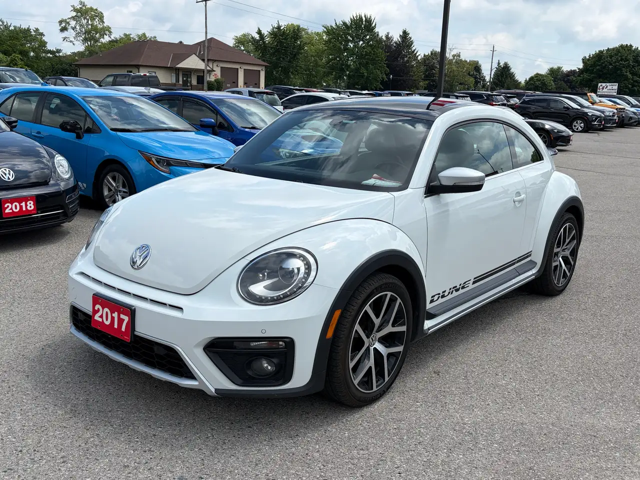 Volkswagen Beetle fotografie Volkswagen Beetle