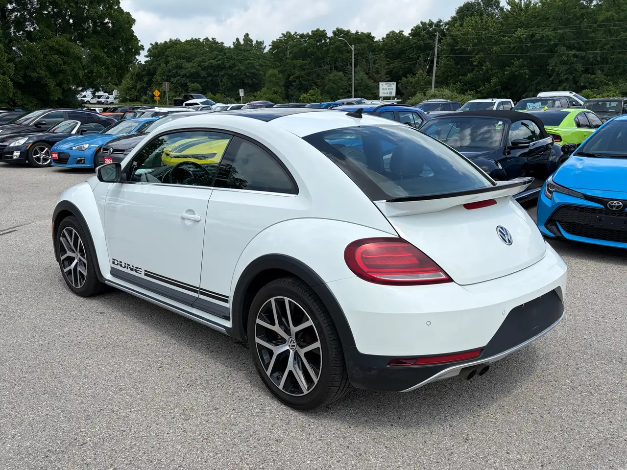 Volkswagen Beetle fotografie Volkswagen Beetle