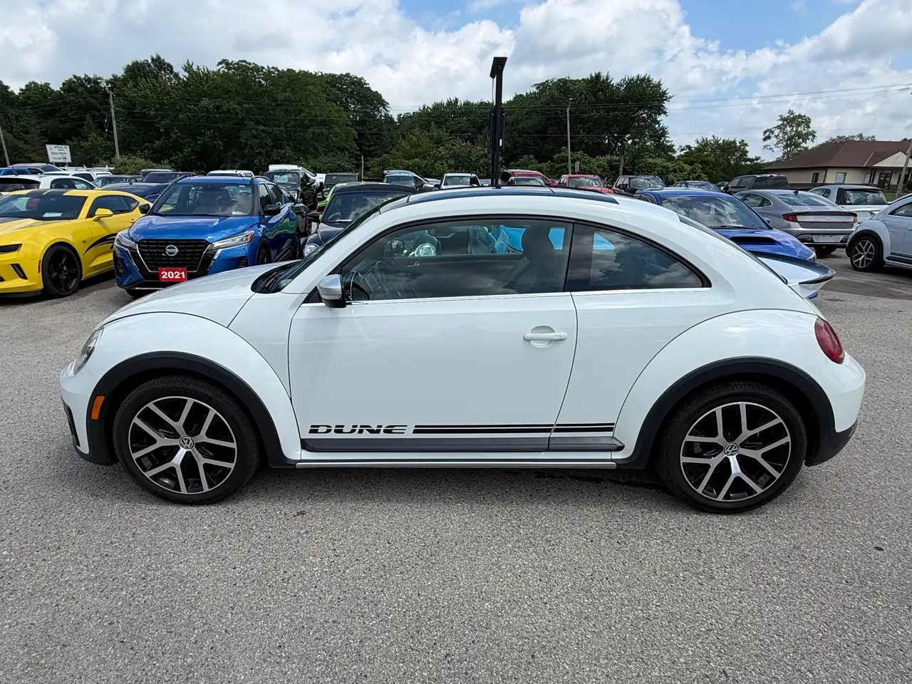 Volkswagen Beetle fotografie Volkswagen Beetle