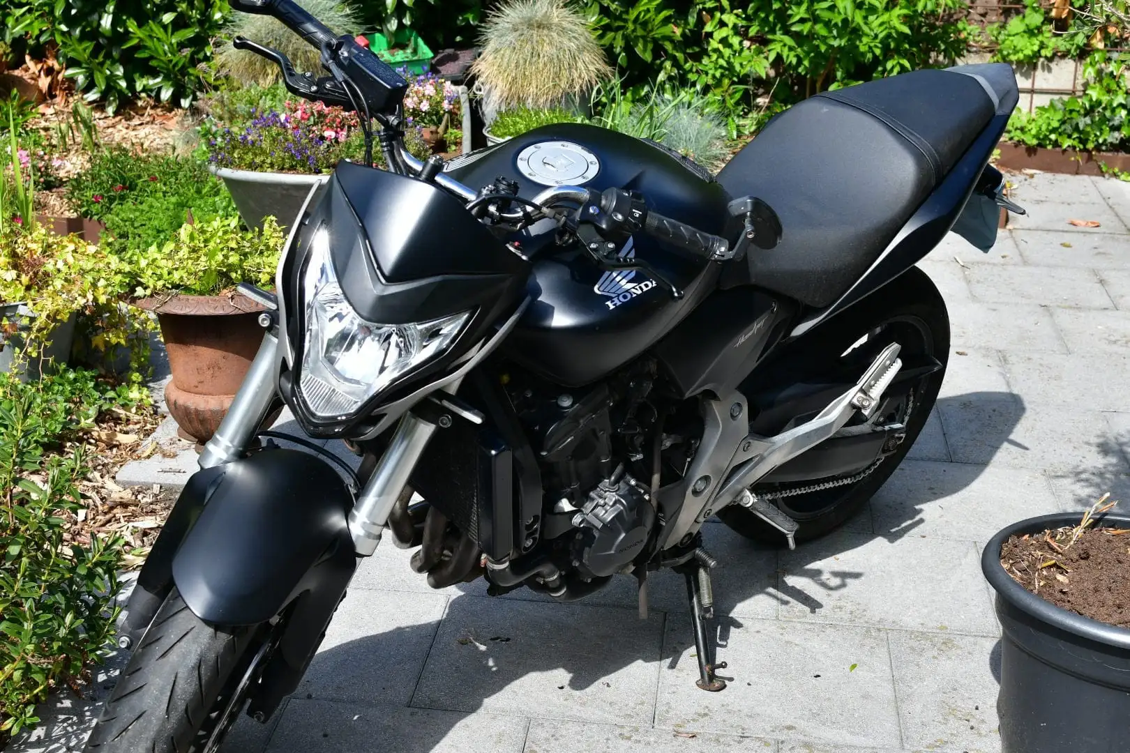 Honda CB 600 Hornet - 1