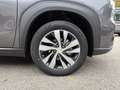 Suzuki S-Cross 1,5 Hybrid ALLGRIP flash Aut. | ab 32.900,- Grau - thumbnail 27
