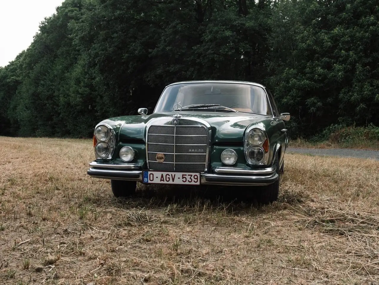 Mercedes-Benz 220 Oldtimer 220SE W111, foto 2