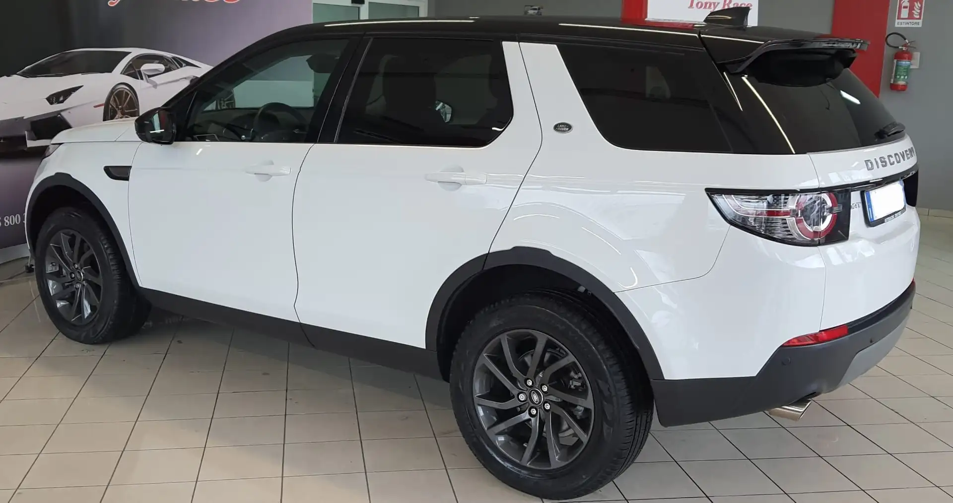 Land Rover Discovery Sport Discovery Sport 2.0 TD4 150 Bus Pr SE Wit - 2