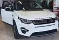 Land Rover Discovery Sport Discovery Sport 2.0 TD4 150 Bus Pr SE Wit - thumbnail 1
