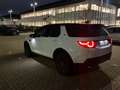 Land Rover Discovery Sport Discovery Sport 2.0 TD4 150 Bus Pr SE Wit - thumbnail 7