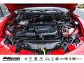 Alfa Romeo Stelvio Competizione 2.2 Diesel AT8 Q4 HARMAN-KARDON EL. H Rot - thumbnail 27