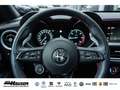 Alfa Romeo Stelvio Competizione 2.2 Diesel AT8 Q4 HARMAN-KARDON EL. H Rot - thumbnail 21