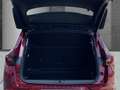 Opel Grandland AT Ultimate-Paket belüftete Ledersitze SHZ hinten Rot - thumbnail 5
