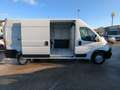 Citroen Jumper 33 BlueHDi 140 S&S PLM-TM Furgone Bianco - thumbnail 8