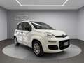 Fiat Panda Panda III 2016 1.2 Easy 5 posti Weiß - thumbnail 8
