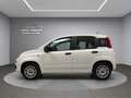 Fiat Panda Panda III 2016 1.2 Easy 5 posti Weiß - thumbnail 3