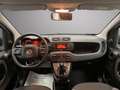 Fiat Panda Panda III 2016 1.2 Easy 5 posti Weiß - thumbnail 13