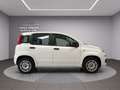 Fiat Panda Panda III 2016 1.2 Easy 5 posti Weiß - thumbnail 7