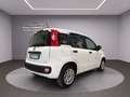 Fiat Panda Panda III 2016 1.2 Easy 5 posti Weiß - thumbnail 6