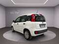 Fiat Panda Panda III 2016 1.2 Easy 5 posti Weiß - thumbnail 4