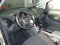 Ford C-Max C-Max 1.6 tdci Titanium 115cv CON 8 GOMME E CERCHI Argento - thumbnail 13