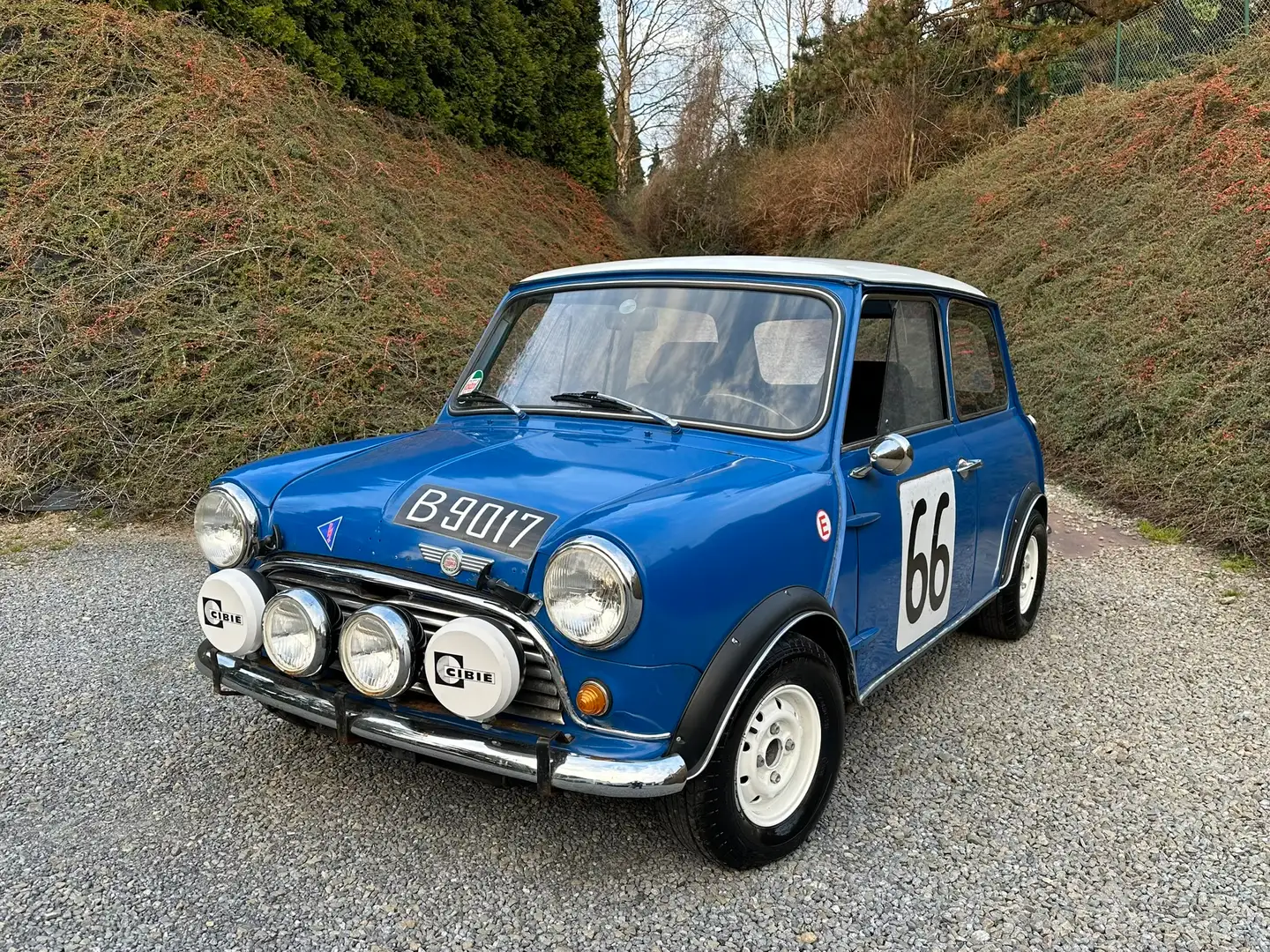 Austin Mini 850 /Rallye Monte Carlo Look / Bon état! Blau - 1